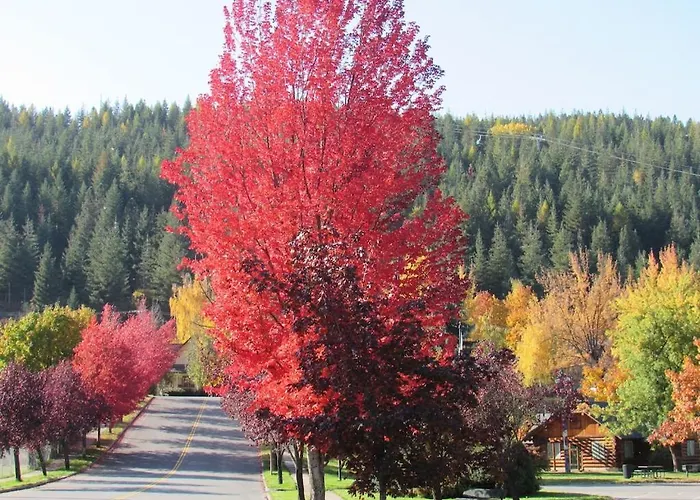 Large Studio Condo With Full Kitchen, Bike The Trail, Beautiful Balcony Views Hottub Fireplace